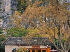 -村上春树