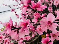 -桂溪生态公园