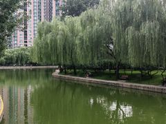 -团结湖公园