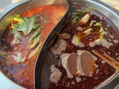 -重庆巴渝火锅(钟家村店)