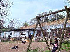 -趣多多宠物公园·宠物训犬学校·宠物寄养