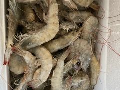 -众彩物流水产市场