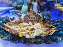 -农乐园食府(梅城镇店)