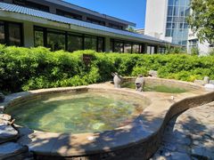 -中家鑫园温泉酒店鑫悦汤泉