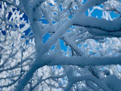 -中旅松花湖滑雪场