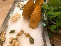 -景湖轩全日制餐厅·南湖名都