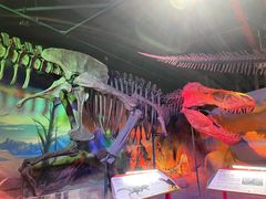 -正佳自然科学博物馆