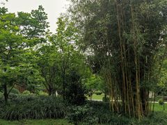 -晓港公园