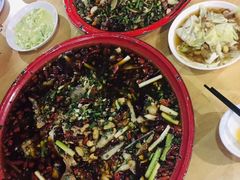 -东吴霸王兔(松青路店)