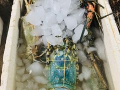 -金巴兰鱼市场