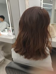 点击看大图 -京世沙龙