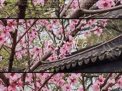 -西园戒幢律寺