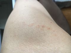 -柏槿酒店(罗湖口岸向西地铁站店)