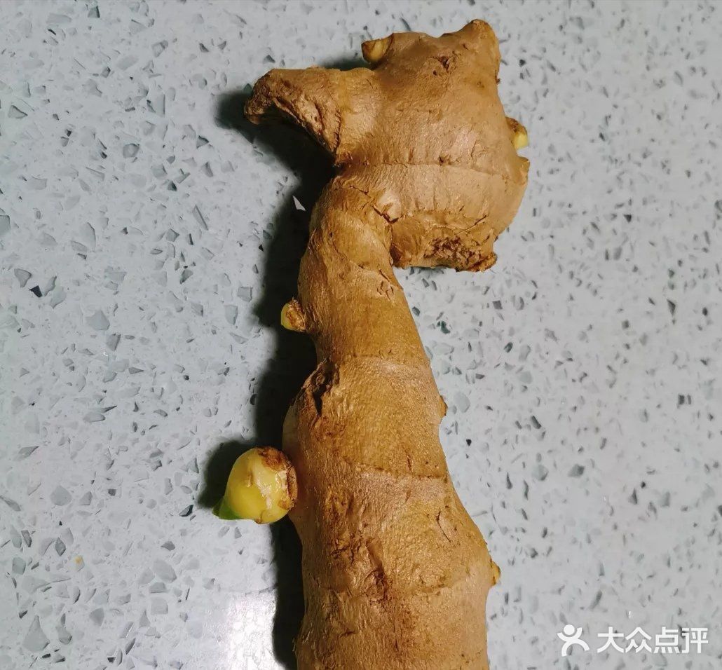 秋季时令食谱•冬瓜肉片汤