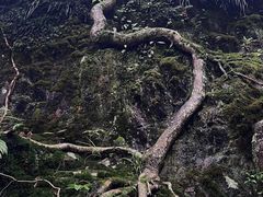 -西岭雪山大飞水景区