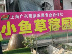 -小鱼草莓采摘园农家乐·小鱼餐厅
