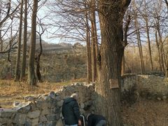 -阳台山自然风景区