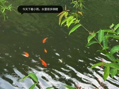 -马峦山郊野公园