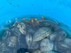 -天津东疆湾沙滩景区