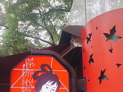 -茶颜悦色(岳麓山顶店)