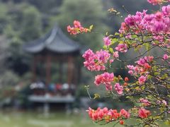 -云溪植物园