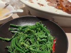 炝拌丝瓜尖-金鸭季·北京烤鸭(深业上城店)