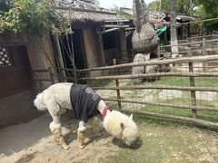 -东台西溪天仙缘景区