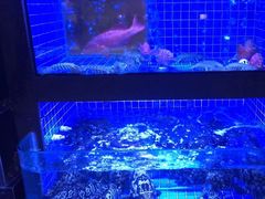 -徐记海鲜(观沙岭|滨江新城店)