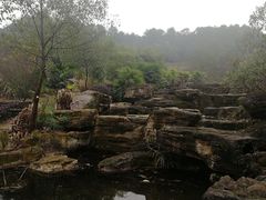 -铁山坪森林公园