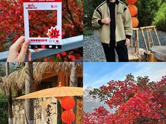 -河南宝泉旅游区