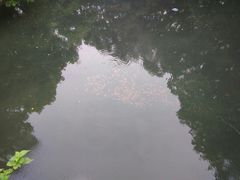 -普陀山风景名胜区-法雨禅寺