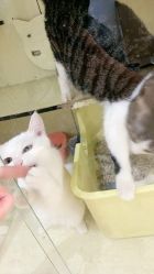 -染墨儿童摄影(转塘店)