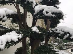 -少华山国家森林公园