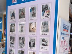 -康爱犬猫诊所·牙专科·骨外科·影像内科(丰宁店)