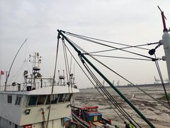 -汤山公园