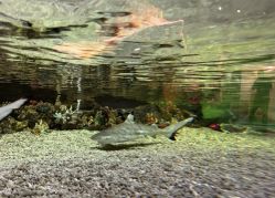 -Zoolung Zoolung动物主题公园(海信广场店)