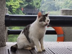 -白马涧龙池景区