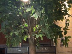 -同仁四季椰子鸡(无锡滨湖万象汇店)