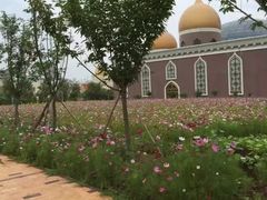 -中国死海旅游度假区