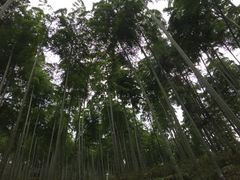 -山沟沟景区