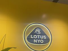 -莲花跑车(国贸商城店)