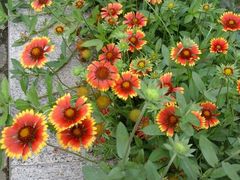 android_upload_pic-苏州乐园森林水世界