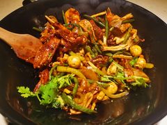 -食乐佳麻辣香锅(森林摩尔商业街区店)