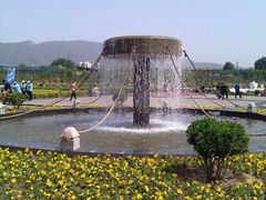 喷泉-永定河休闲森林公园