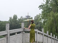 -洋湖国家湿地公园