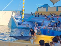 -秦皇岛乐岛海洋王国