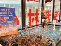 -南海渔村(珠江新城店)