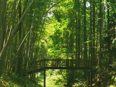 -同里国家湿地公园