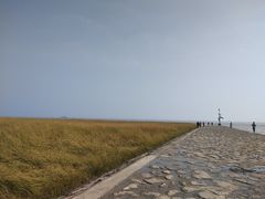 -南汇嘴观海公园