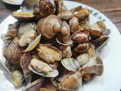 辣炒蛤蜊-1910老鲁味海鲜·戳子肉·青岛菜(金沙滩店)